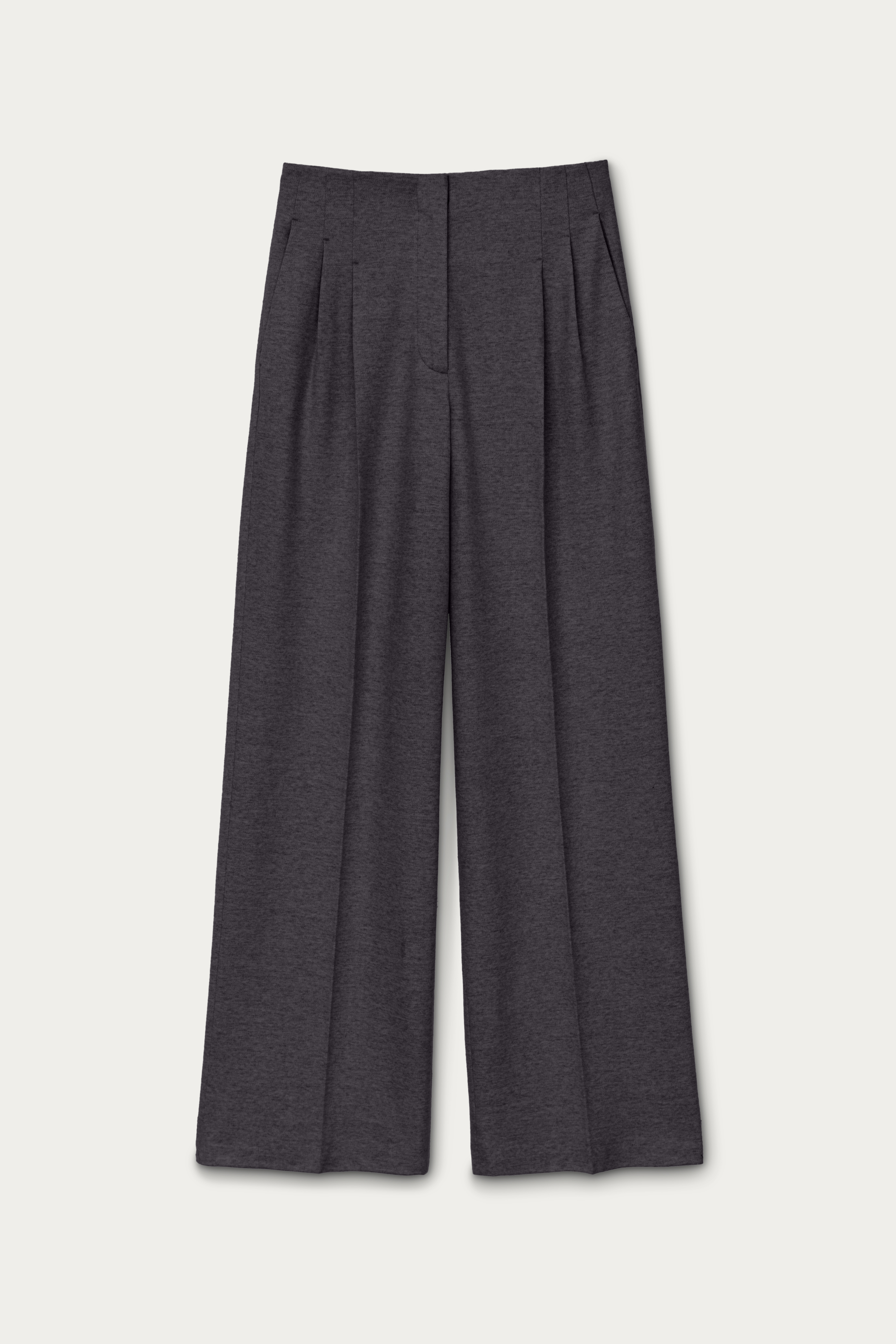 Pleated Trousers